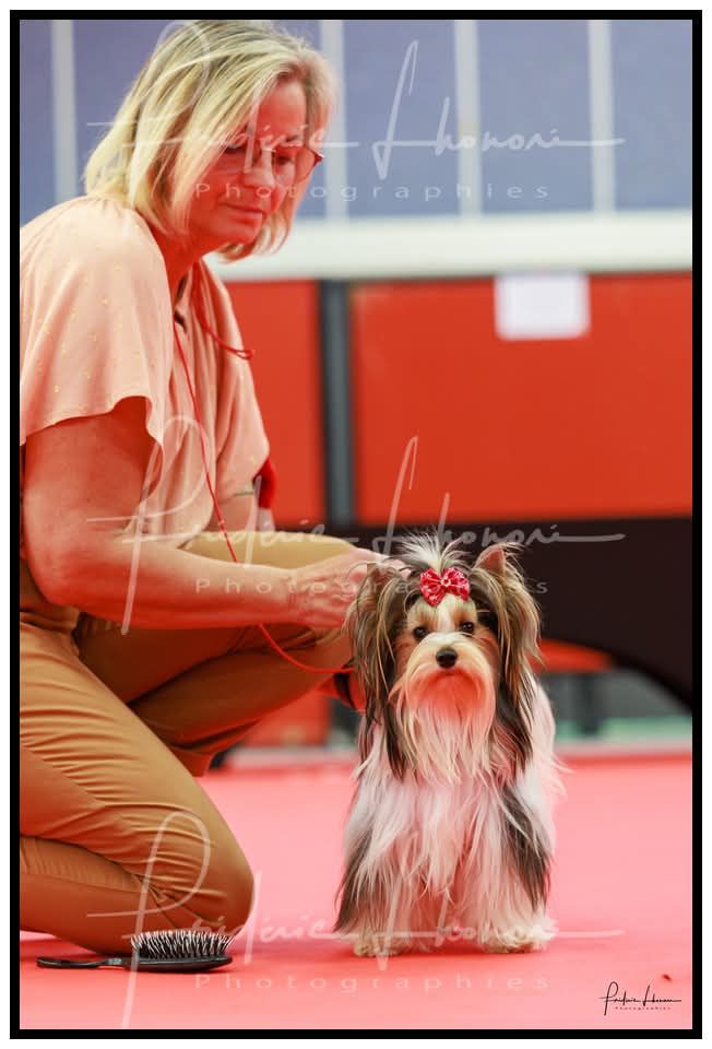 Victoire Titre Initial